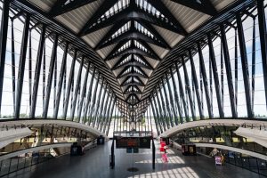 Read more about the article Les Lignes Stratégiques du Réseau TCL de Lyon