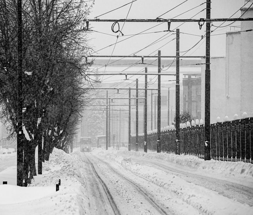 Read more about the article Trolleybus, bus électriques et GNV : comment suivre la transition écologique des TCL